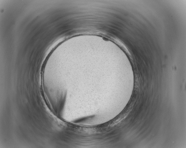 X0000085261095200703231709