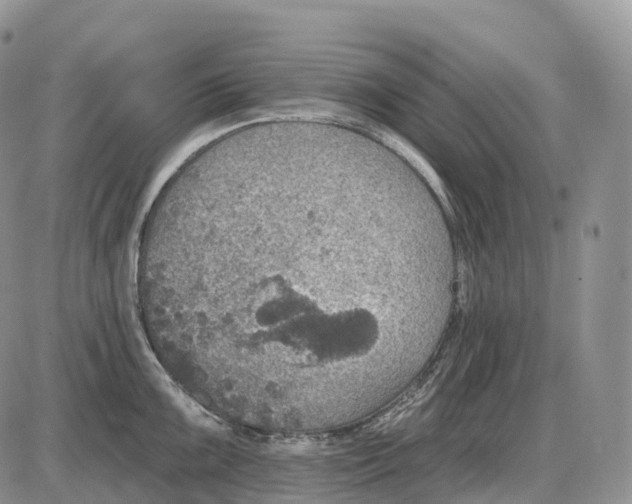 X0000085261099200703231709