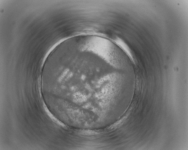 X0000085261100200703231709