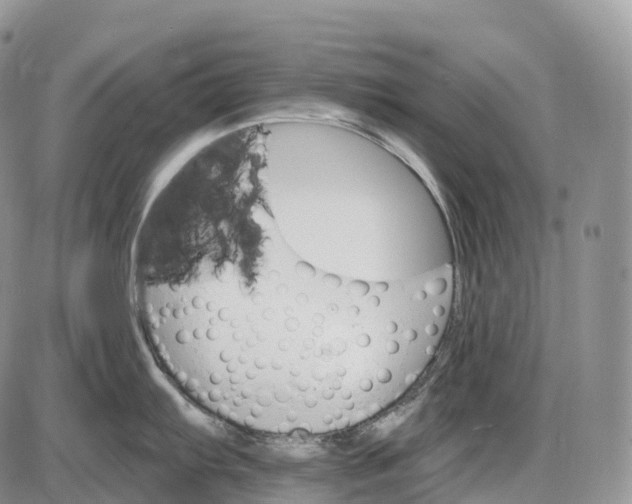 X0000085261103200703231709