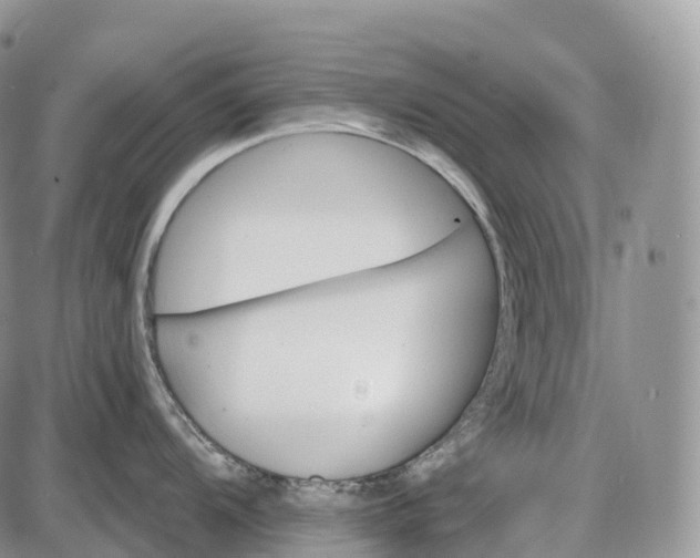 X0000085261104200703231709