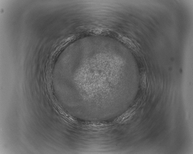 X0000085261105200703231708