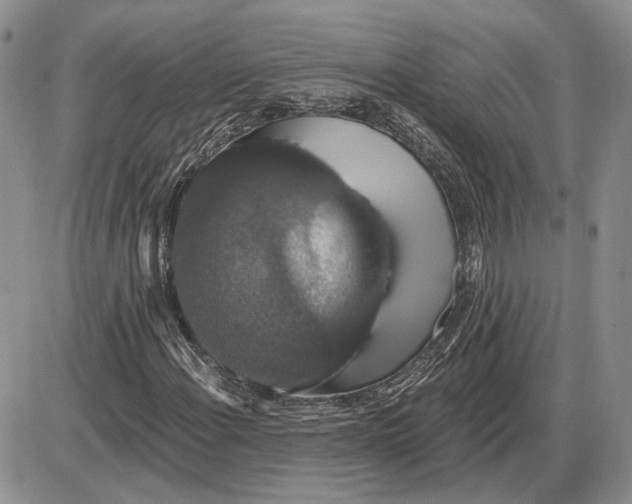 X0000085261108200703231708