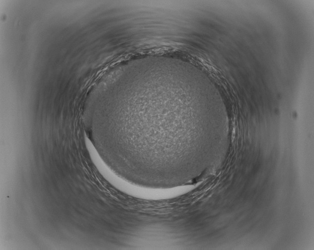 X0000085261109200703231708