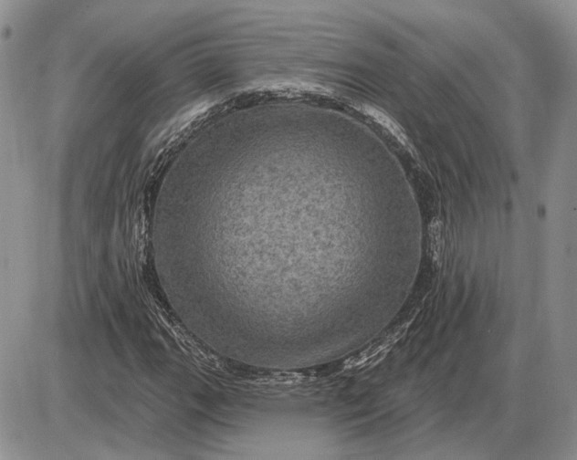 X0000085261111200703231708