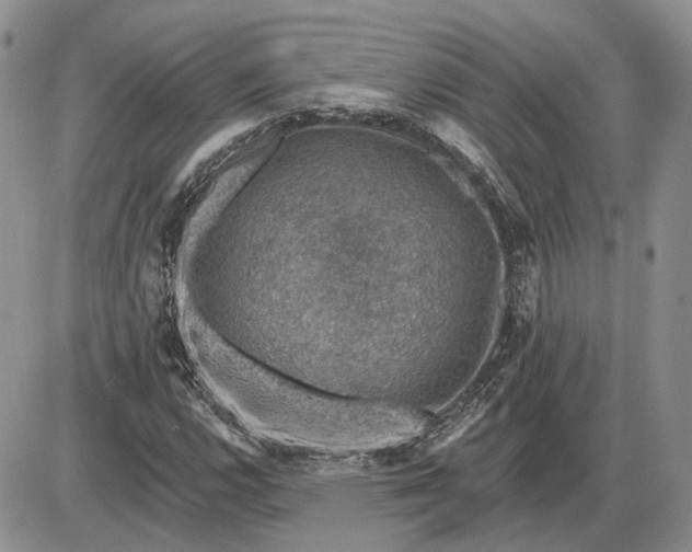 X0000085261112200703231708