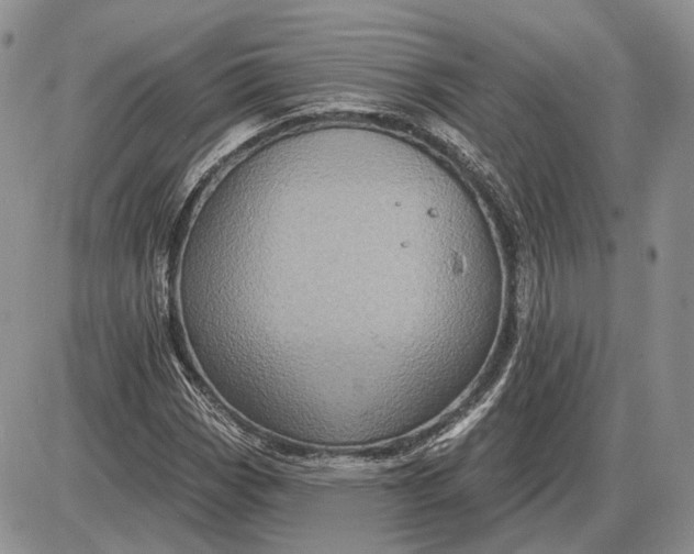 X0000085261113200703231708