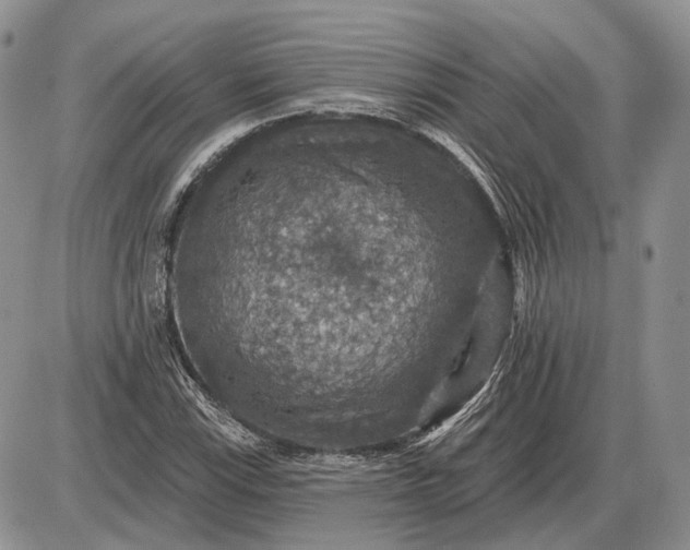 X0000085261115200703231708