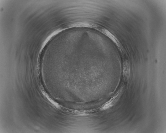 X0000085261116200703231708