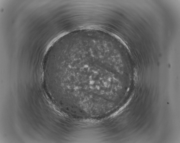 X0000085261117200703231708