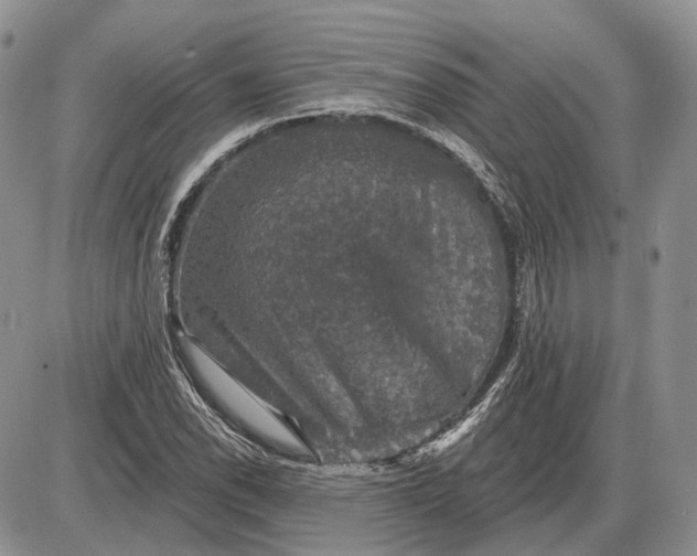 X0000085261118200703231708