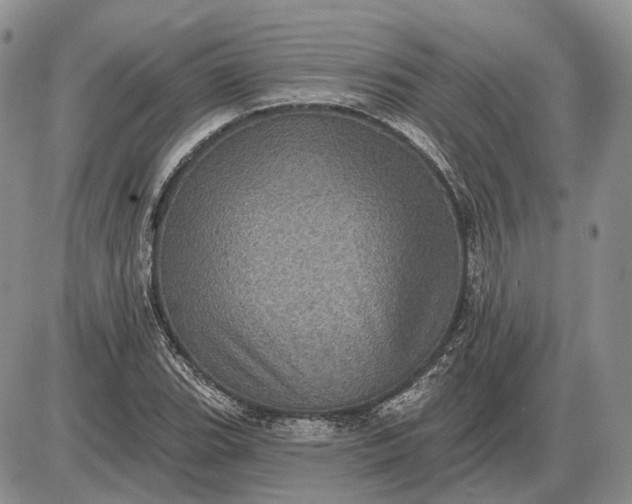 X0000085261119200703231708