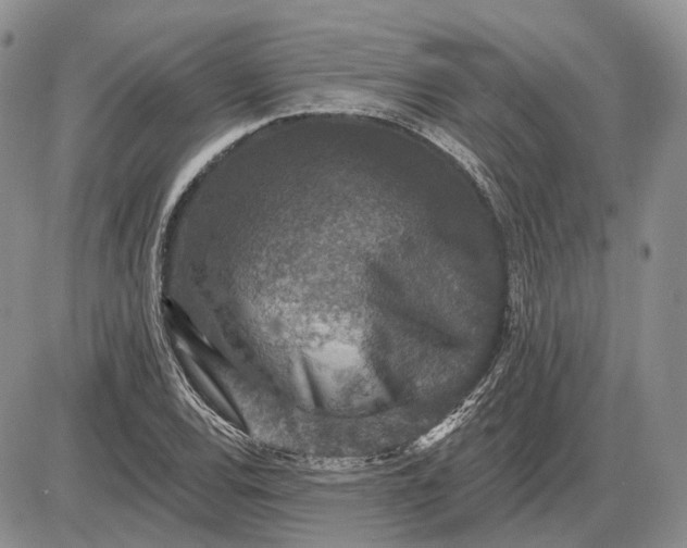 X0000085261120200703231708