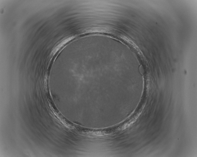 X0000085261121200703231708