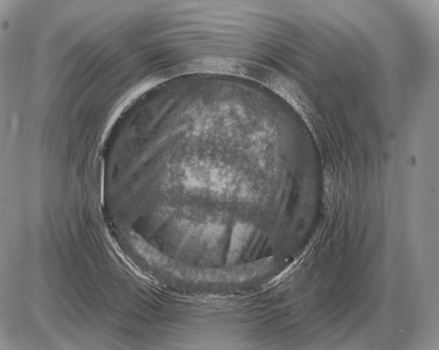 X0000085261123200703231708