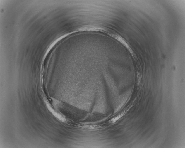 X0000085261124200703231708