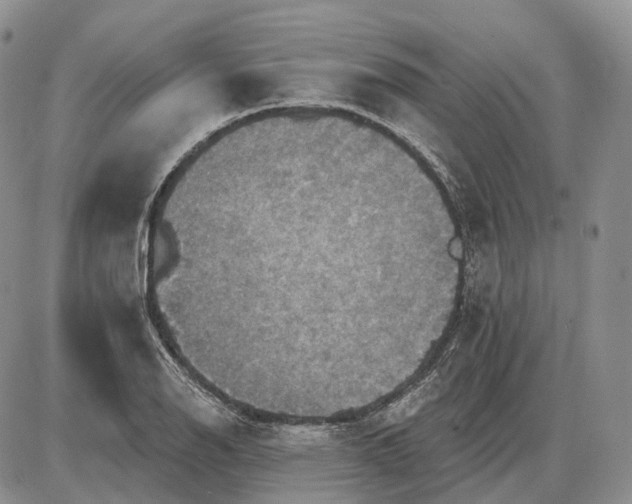 X0000085261126200703231708