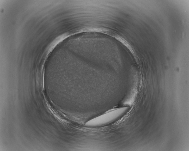 X0000085261127200703231708