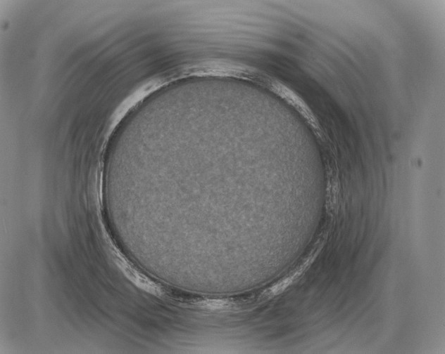 X0000085261130200703231708