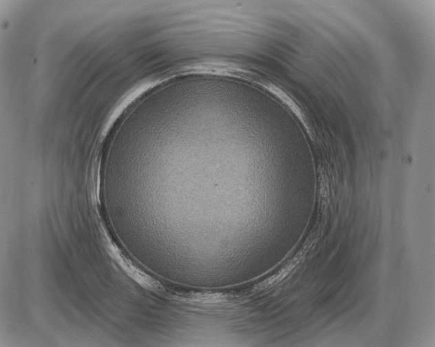 X0000085261131200703231708