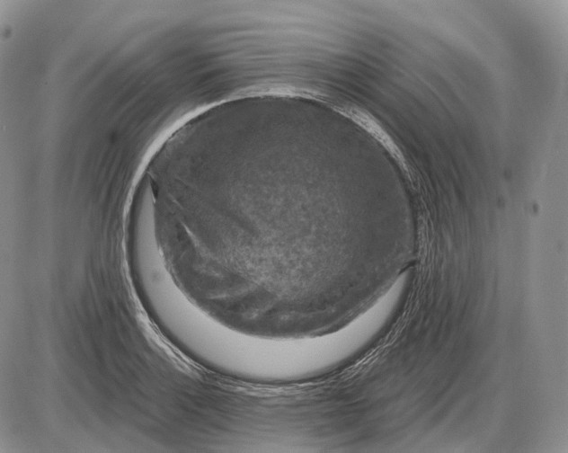 X0000085261132200703231708