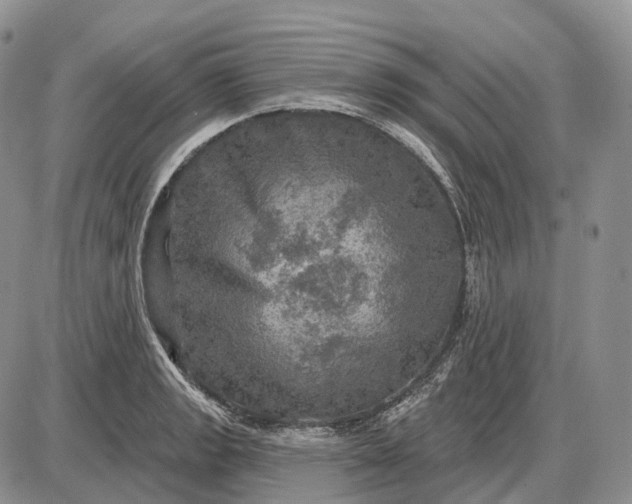 X0000085261133200703231708