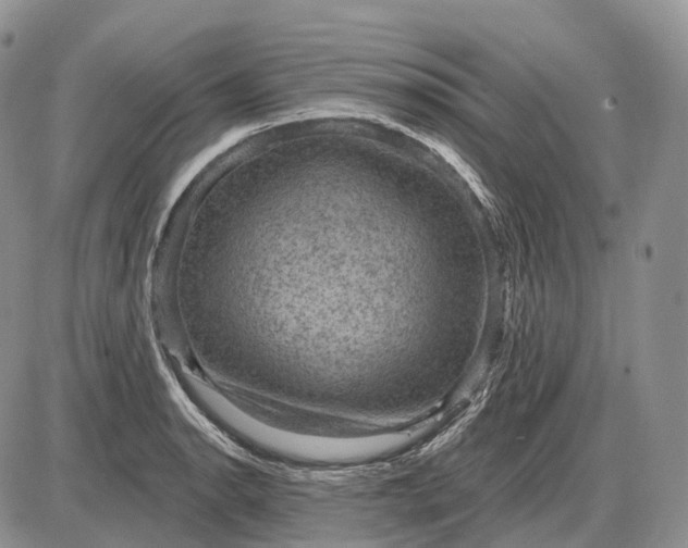 X0000085261134200703231708