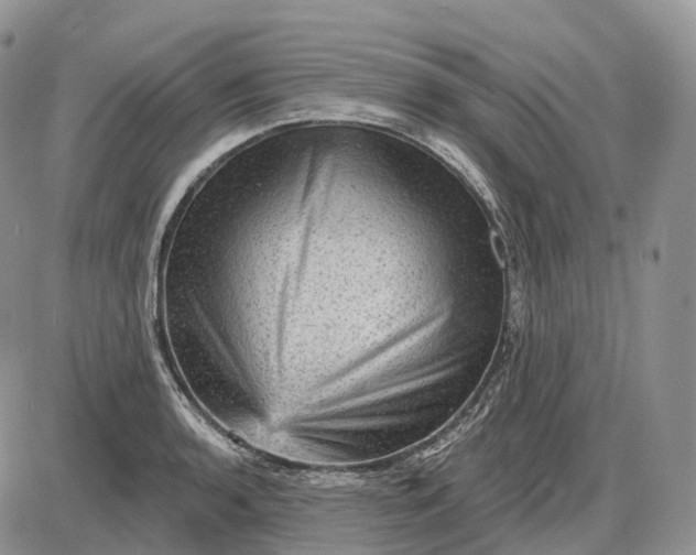 X0000085261136200703231708