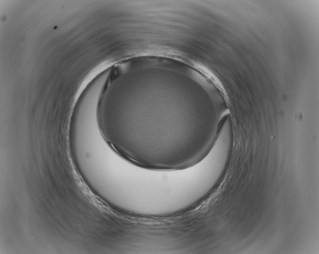 X0000085261138200703231708