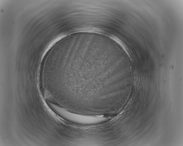 X0000085261139200703231708