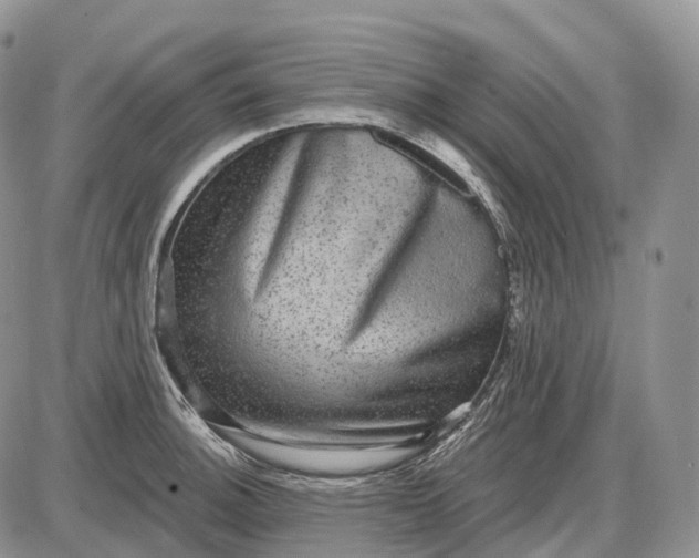 X0000085261140200703231709