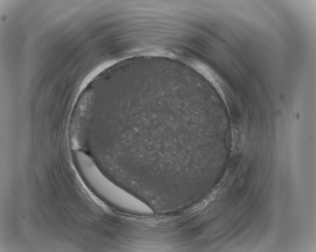 X0000085261141200703231709