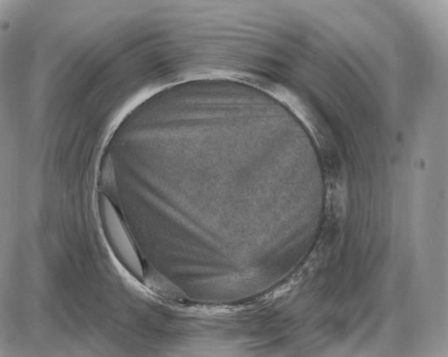 X0000085261143200703231709