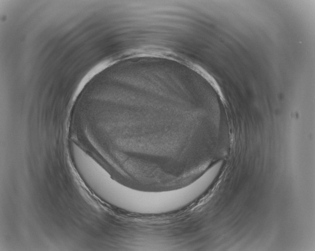 X0000085261146200703231709