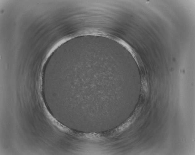 X0000085261147200703231709