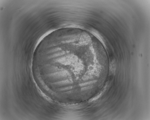 X0000085261149200703231709