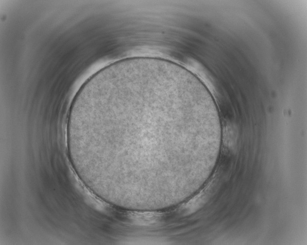 X0000085261150200703231709