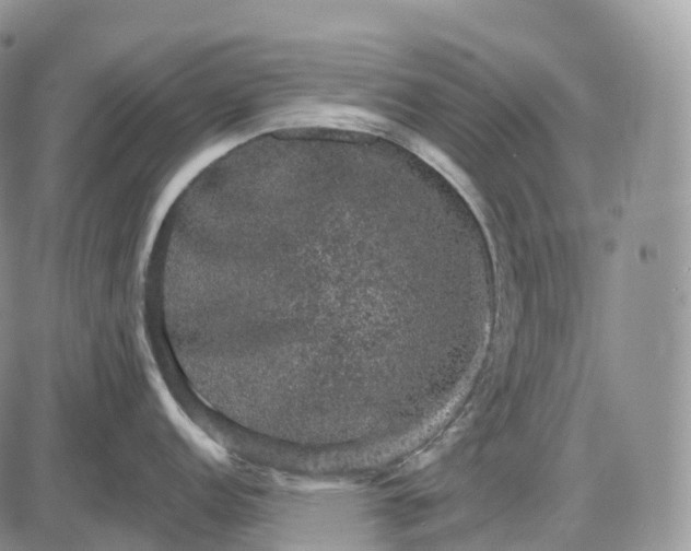 X0000085261152200703231709