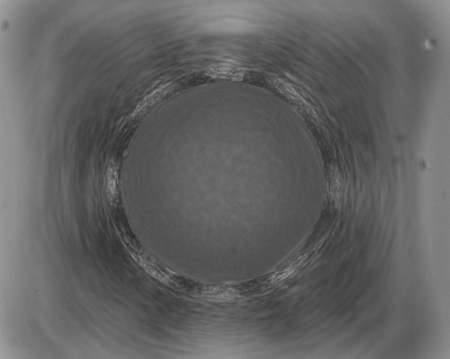 X0000085261154200703231708