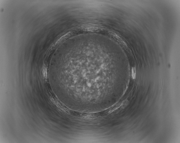 X0000085261155200703231708