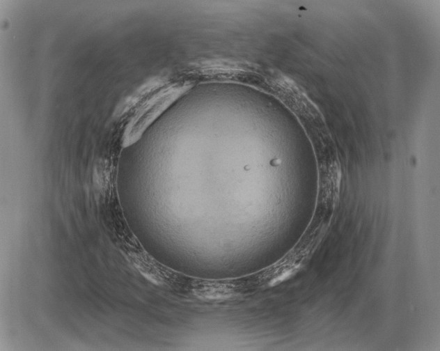 X0000085261157200703231708