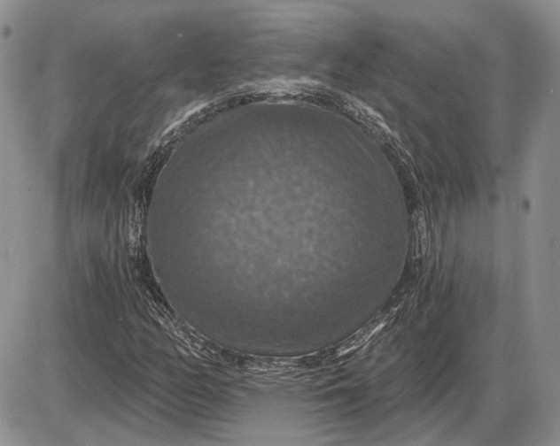 X0000085261158200703231708