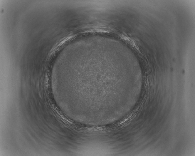 X0000085261159200703231708