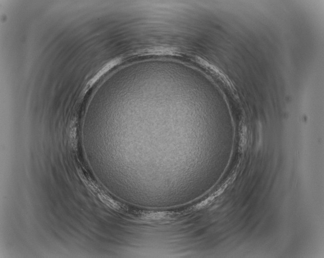 X0000085261162200703231708