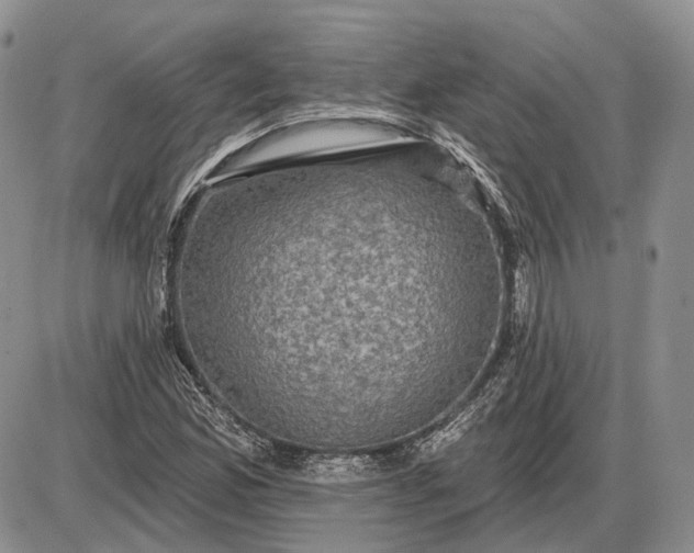 X0000085261165200703231708