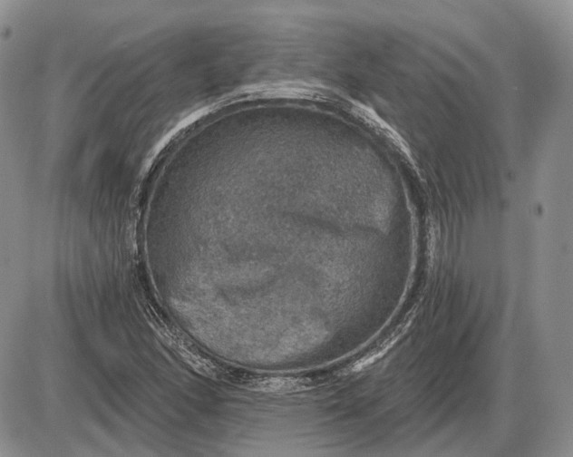 X0000085261166200703231708