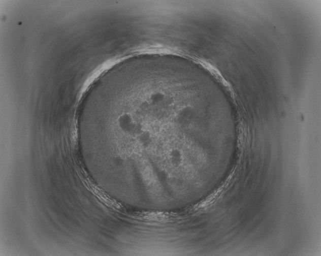 X0000085261167200703231708