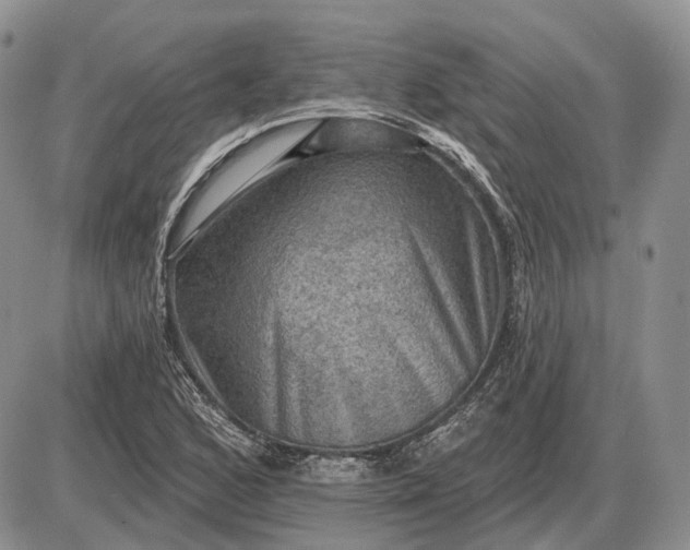 X0000085261168200703231708