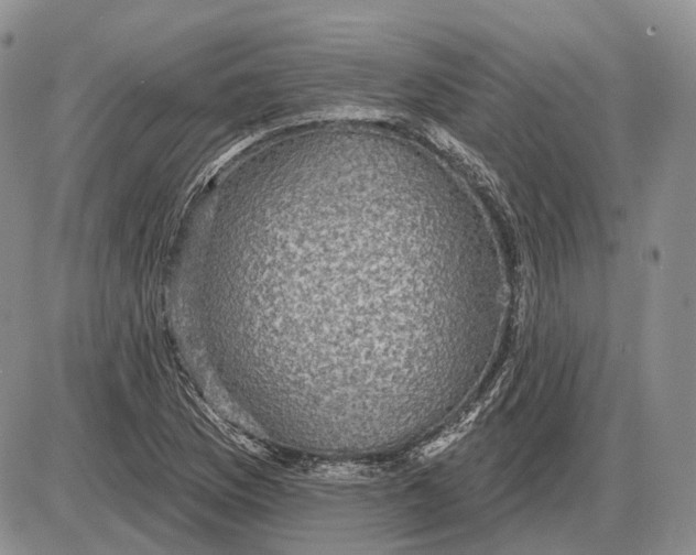 X0000085261169200703231708