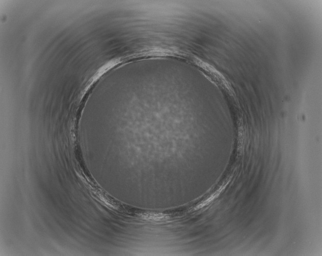 X0000085261170200703231708